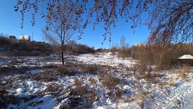 Прогулка в солнечный морозный денек. 17 ноя 2021