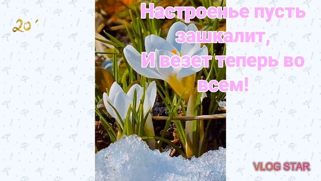 Самая красивая открытка Первый день весны, #прощенноевоскресенье #1марта, #первоемарта  #katrinaft