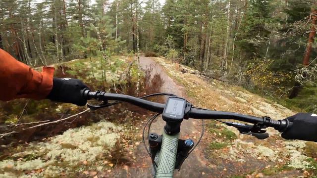 NEW BIKE DAY! - Canyon Stoic 4 And First Ride.