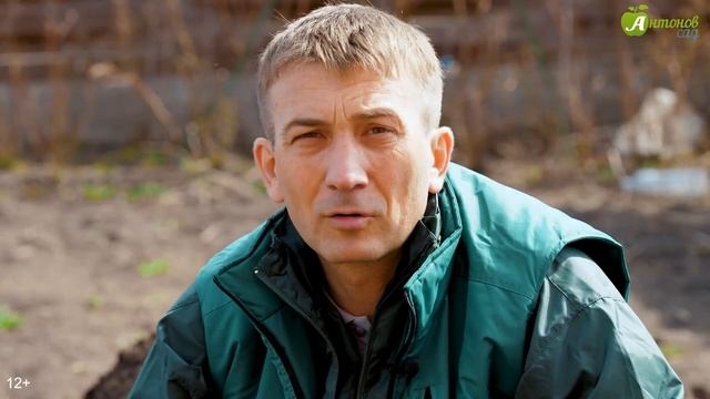 Сажаем картофель в солому, почву и агроволокно. НОВЫЙ ЭКСПЕРИМЕНТ! смотреть онлайн