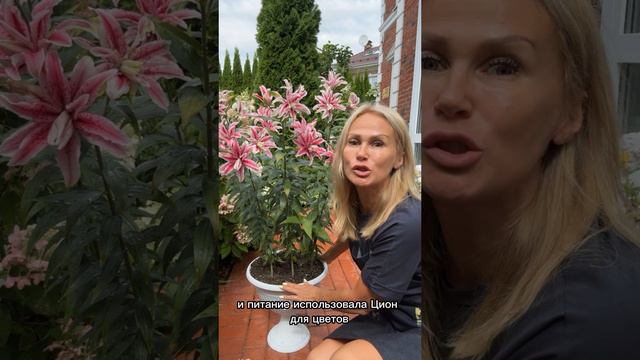 08-08-2024 смотреть онлайн