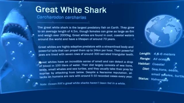 Ocean Rift - learning about sharks смотреть онлайн