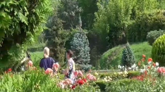 В мире роз! смотреть онлайн