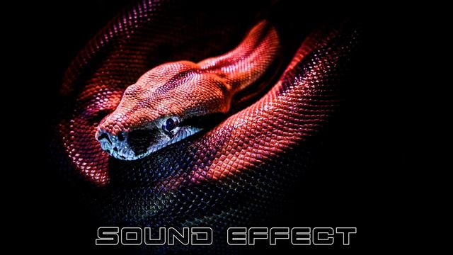 Reptiles | Snake Hiss - SFX Producer | No Copyright Reptiles Sound effects смотреть онлайн