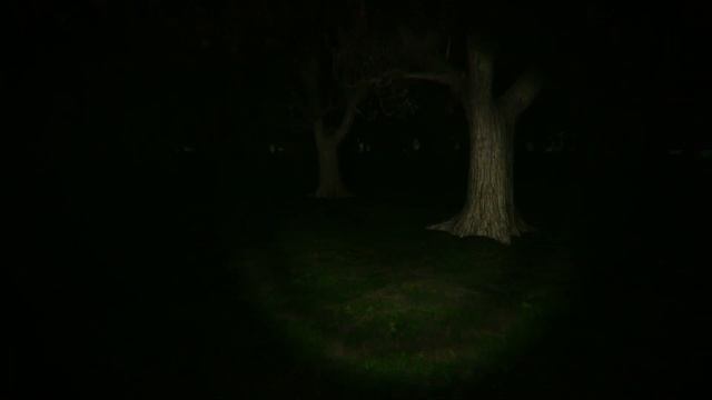 ДОГОНЯЛКИ СО ШРЕКОМ - swamp sim horror game прохождение смотреть онлайн