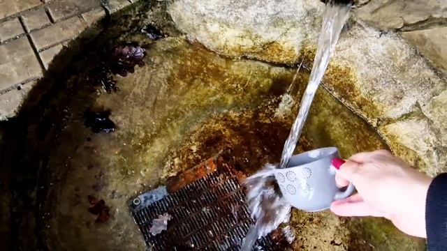 В путь!... Вознесенский  монастырь с. Жабка!