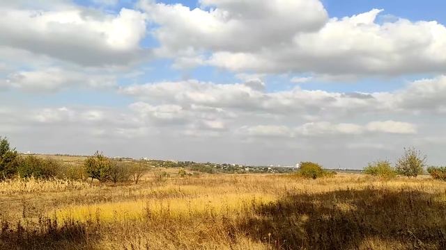 Что делать, чтобы желания исполнялись. смотреть онлайн