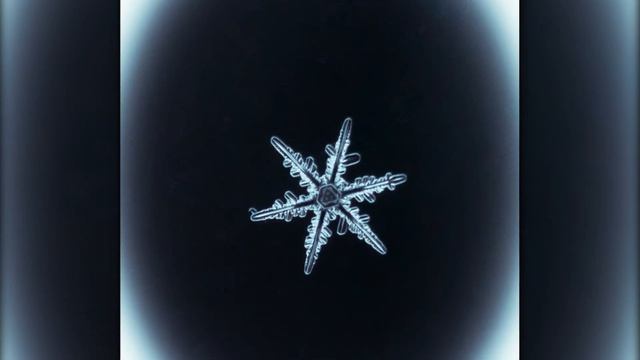 Snowflake photography 2023 смотреть онлайн