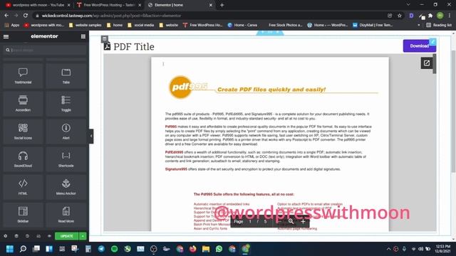 How to create pdf view in WordPress with Elementor смотреть онлайн