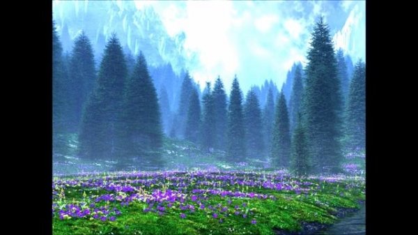 Dima Dark-Forest 25 видео ролик (7.04.2023)