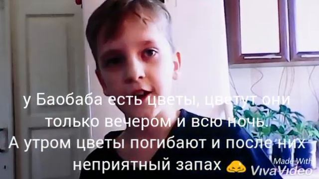 Рассказ про Баобаб.