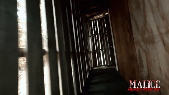 Malice: The Director's Cut смотреть онлайн