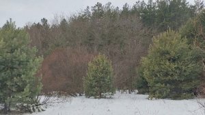 В какие дни нельзя менять постельное белье. Народные приметы и поверья.