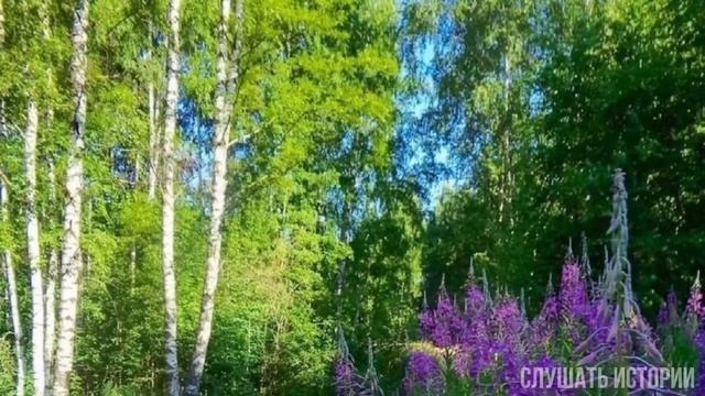 После смерти мужа, Лида так и присматривала за свекровью. А как то у ворот застала дорогую машину смотреть онлайн