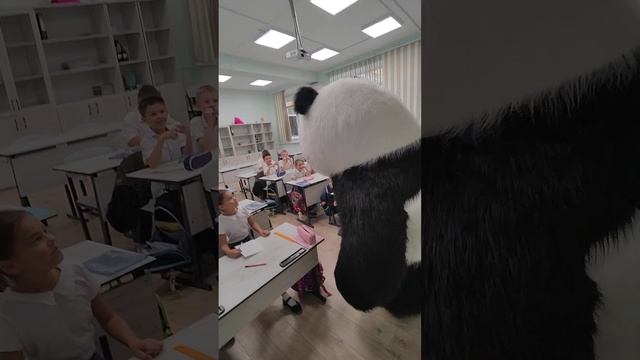 Медведь панда пришел на урок в школе, чтобы станцевать и поздравить в Сочи классного мальчишку. смотреть онлайн