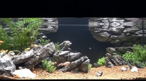 Аквариум с камнями Декси 2