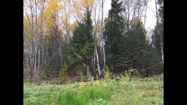 Участок 7 соток, в д. Новинки, 47 км. от МКАД ... смотреть онлайн
