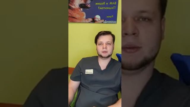 Уборка и экологическая забота