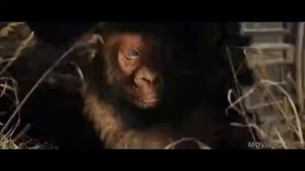 RAMPAGE MOVIE TRAILER #2018#