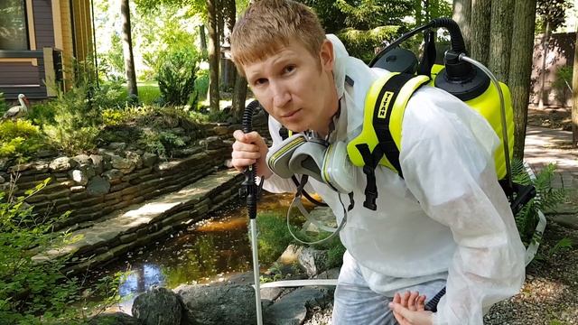 Как спастись летом от комаров. Борьба с комарами на дачном участке. Где комар откладывает личинки смотреть онлайн