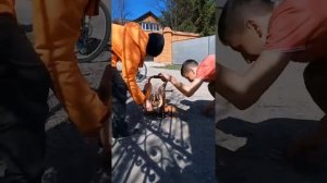 Запуск бензопилы урал (после 10 лет простоя).