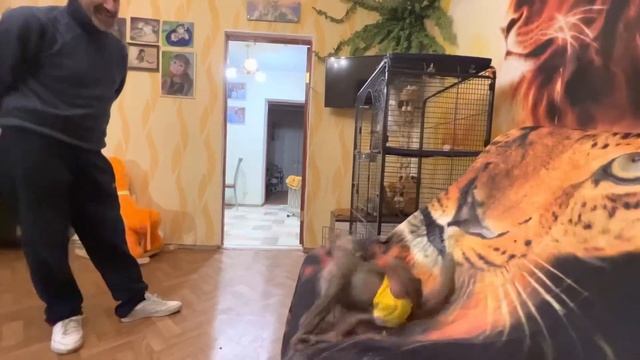 СМЕЕМСЯ БЕЗ ОСТНОВКИ! Люська устроила Жорику просто ТРЭШ!!! смотреть онлайн