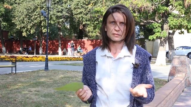 Катальпа северная I Catalpa speciosa смотреть онлайн