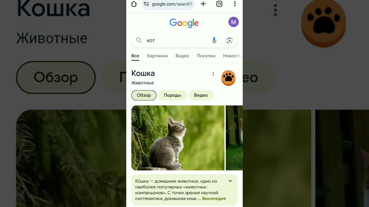 милая фишка в google / #youtubeshorts @user-ch57oe9w смотреть онлайн