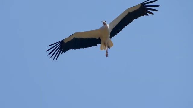 Образы - Каноны_Вечности_432_Гц смотреть онлайн