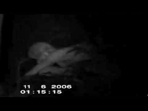 Possible Fallen Angel In Catalonia (subtitled)