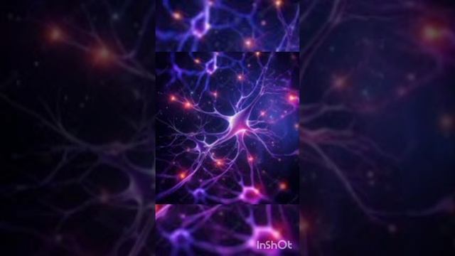 психотерапия для всех