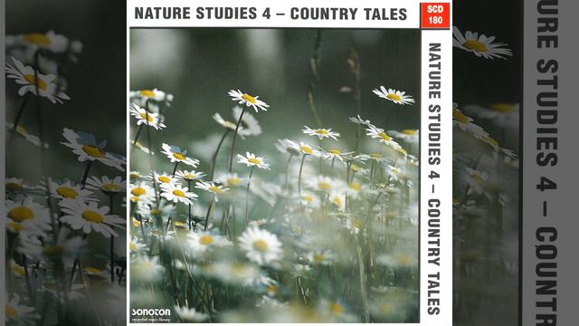 Trout Stream смотреть онлайн