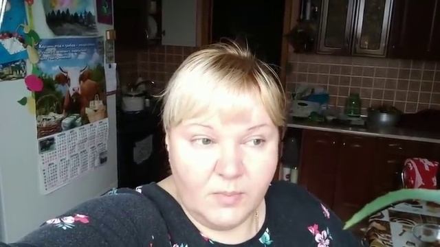 Утро/ Кошке Лучше/ Бессонная Ночь/Исправляла Рецепт из Интернета смотреть онлайн