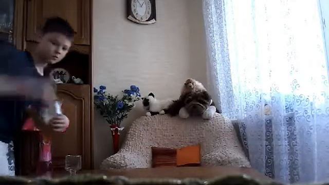 Место "видеоблогера"!!!!!! смотреть онлайн