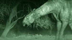 Гиенодон ( Прогулки с чудовищами )