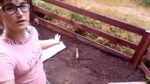 Простая клумба своими руками