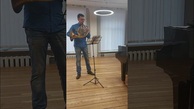 Mozart - Horn Concerto No. 3 in E-flat major, K. 447, 1 movement. смотреть онлайн
