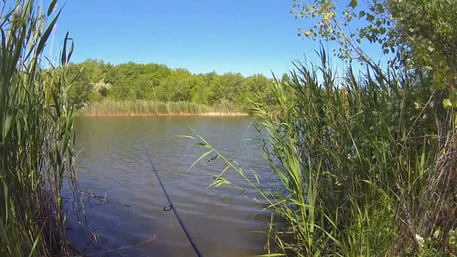 Тест уловистости японского и безымянного силикона при ловле окуня смотреть онлайн