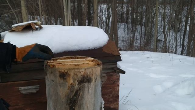 Добываем мед зимой!!! Или..... смотреть онлайн