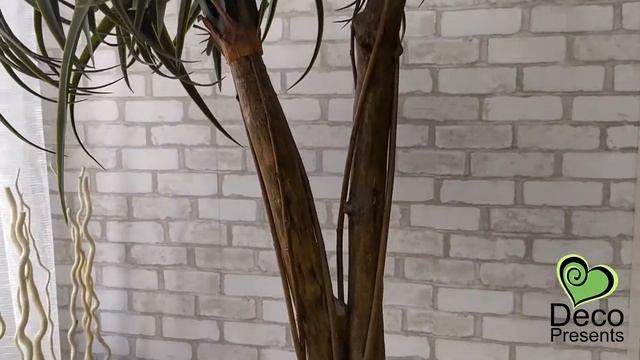 Пальма декоративная двойная высотой 125 см смотреть онлайн