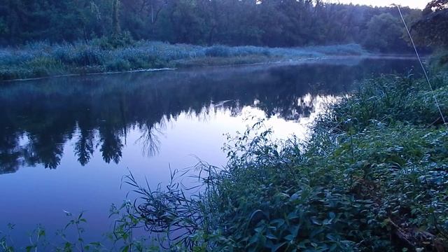 Рыбалка на р.Оскол 22.08.2021г. смотреть онлайн