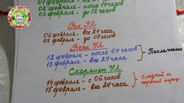 Лучшие дни для посева семян сладкого, горького перца и баклажанов на рассаду в феврале 2020 года. смотреть онлайн