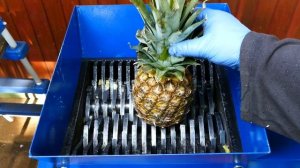 TOP 100 BEST SHREDDING MOMENTS | SATISFYING ASMR COMPILATION