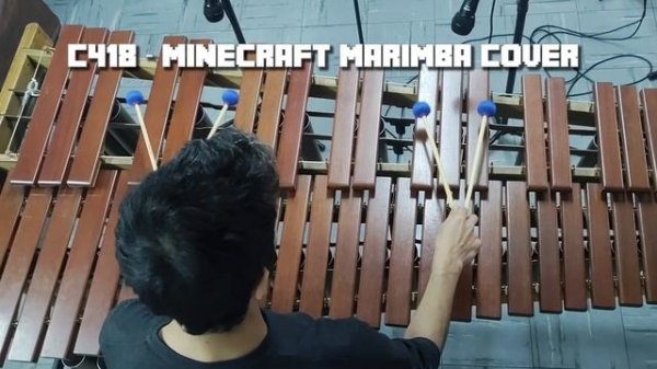 C418 - Minecraft (from Minecraft Official soundtrack) Marimba Cover