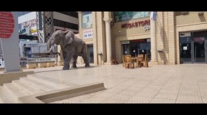 Тунис 2023.06.30