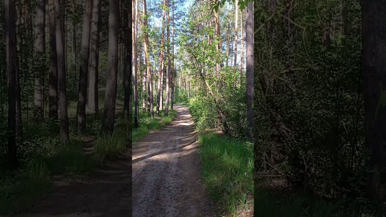В километре от РЖД. смотреть онлайн