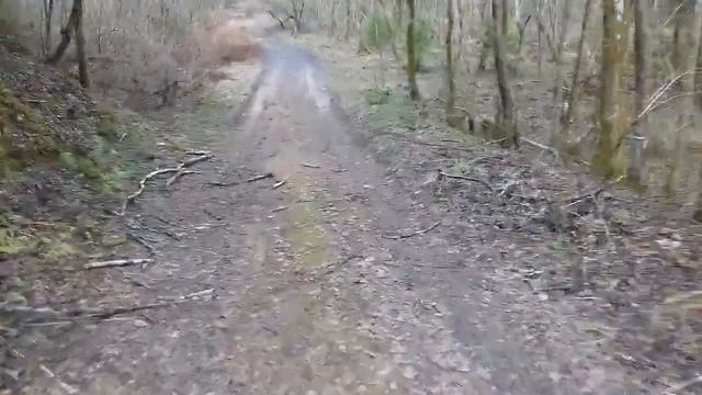 Лесное бездорожье на MTB велосипеде смотреть онлайн