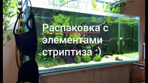 Новые жители острова. Распаковка с элементами стриптиза