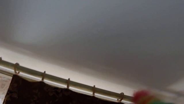 Пипидастр в действии!!! смотреть онлайн
