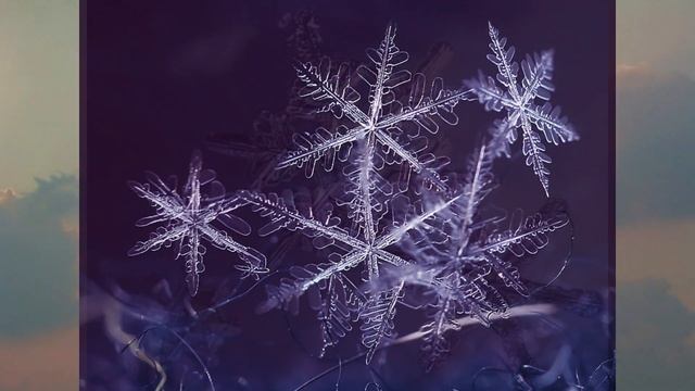 Что такое снег?/Откуда он берётся? смотреть онлайн